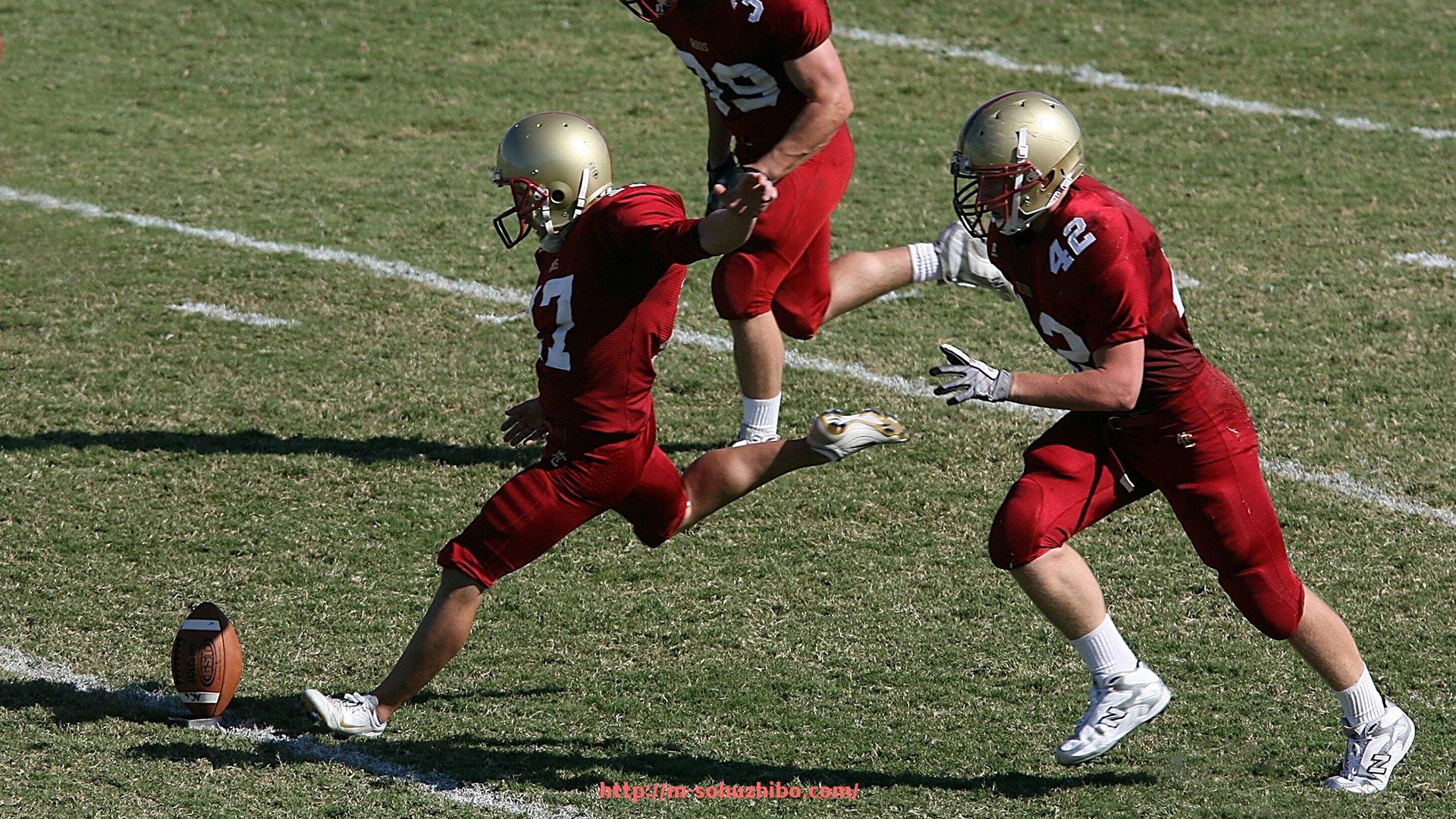 搜狐体育直播-德甲全部球队logo高清全集及全屏壁纸资源推荐