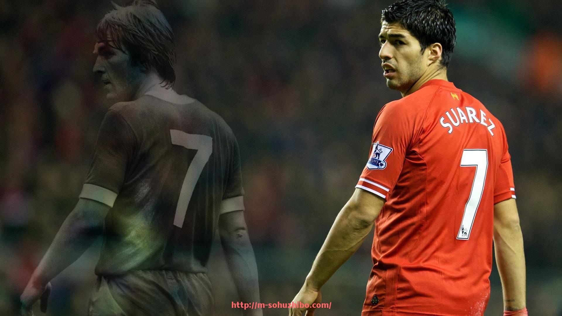 搜狐体育直播-曼城世俱杯中国球迷组织发展现状及赛事支持情况